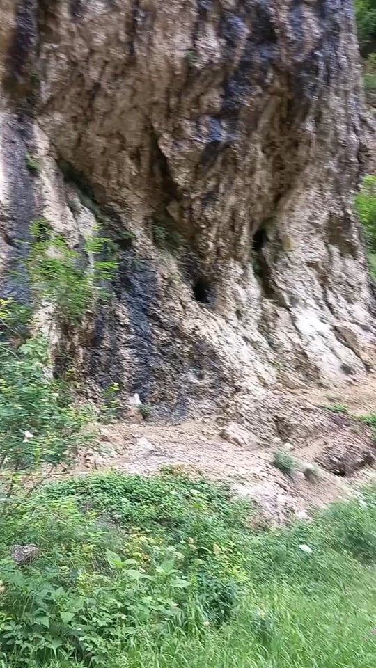 TikTok video thumbnail by euioana3