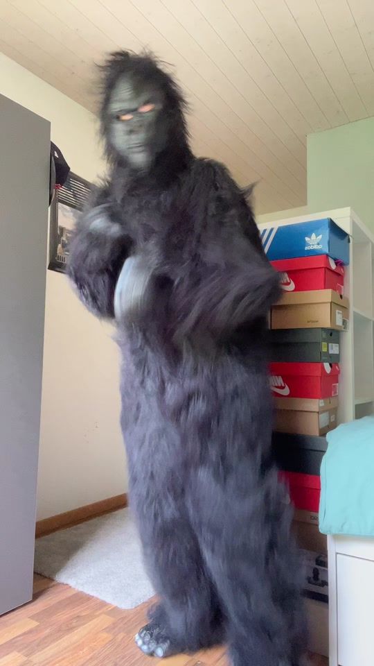 TikTok video thumbnail by gorrilaboy4