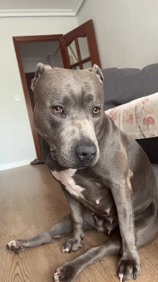 TikTok video thumbnail by nalalamala7