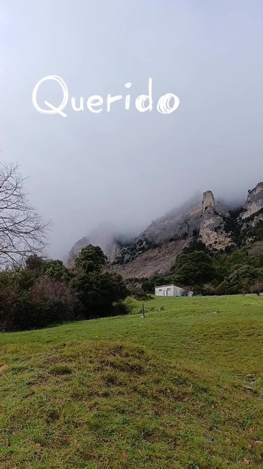 TikTok video thumbnail by juliferhoy