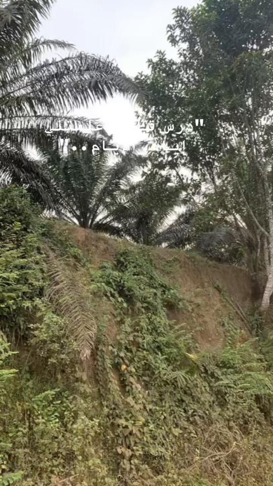 TikTok video thumbnail by alnuur47