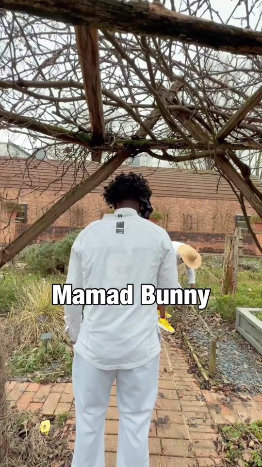 TikTok video thumbnail by monsieurbrahms