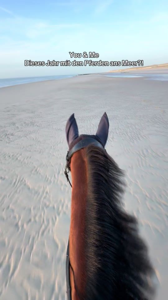 TikTok video thumbnail by anja_fee
