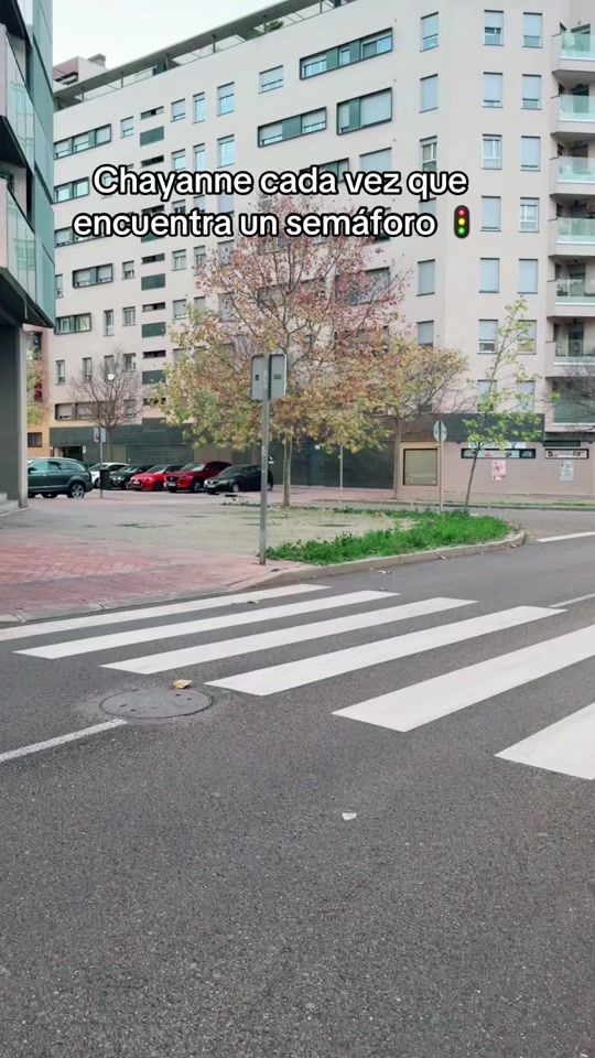 TikTok video thumbnail by humordvida