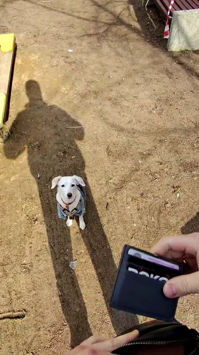 TikTok video thumbnail by skromnyanton