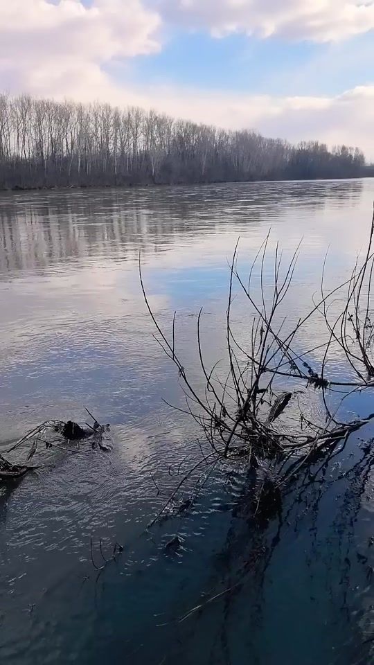 TikTok video thumbnail by angler_kh