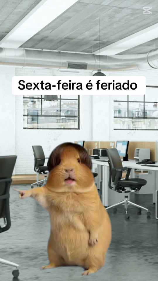 TikTok video thumbnail by riboli.famiily