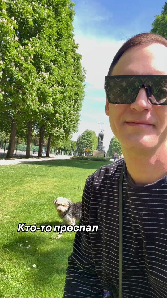 TikTok video thumbnail by appolonovgang