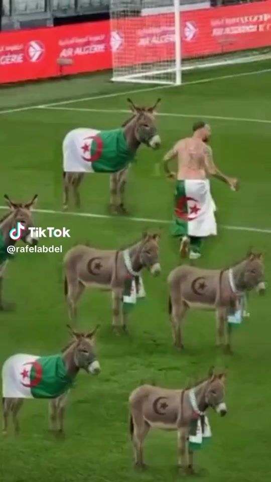 TikTok video thumbnail by lachgar695gmail.com