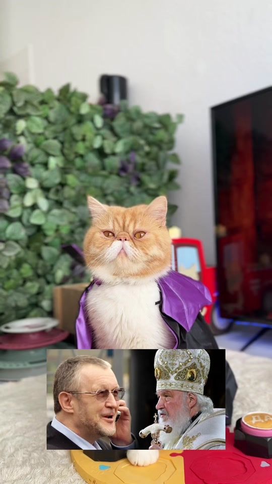 TikTok video thumbnail by hariton.cat