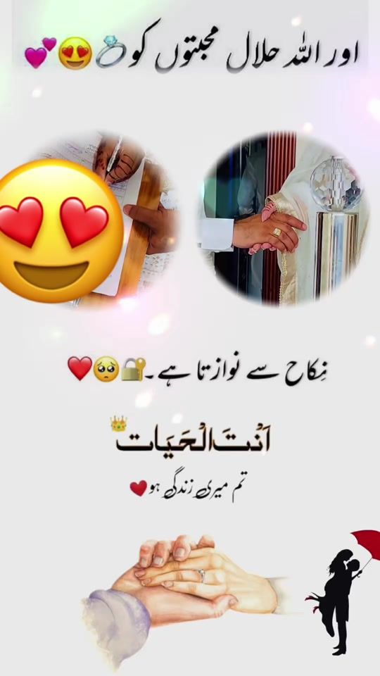 TikTok video thumbnail by noshi30