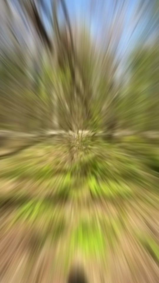 TikTok video thumbnail by manuela_ela_75