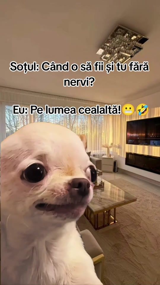 TikTok video thumbnail by filote_adina