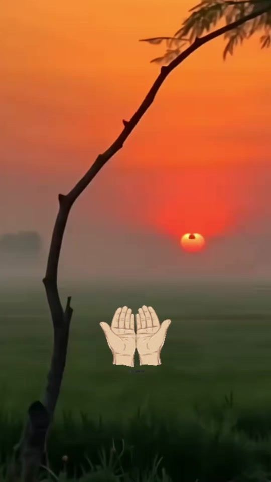 TikTok video thumbnail by fatiimmaha