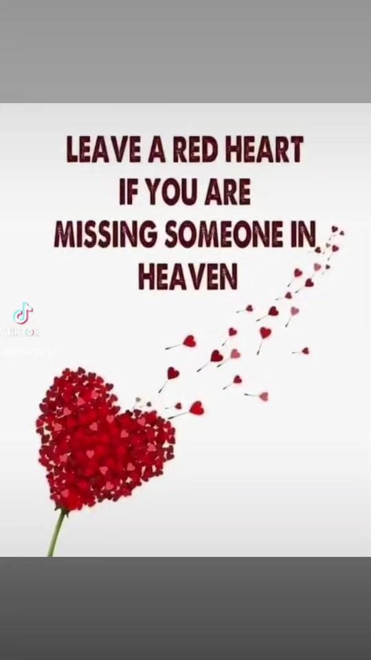 TikTok video thumbnail by butterfly4146