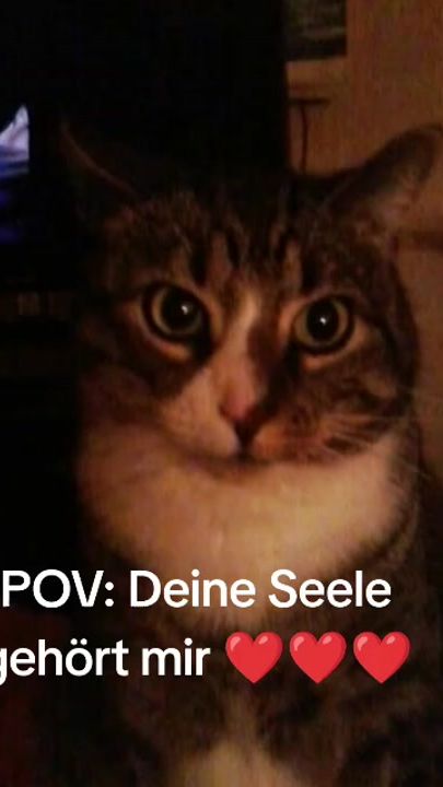 TikTok video thumbnail by karizmaa51