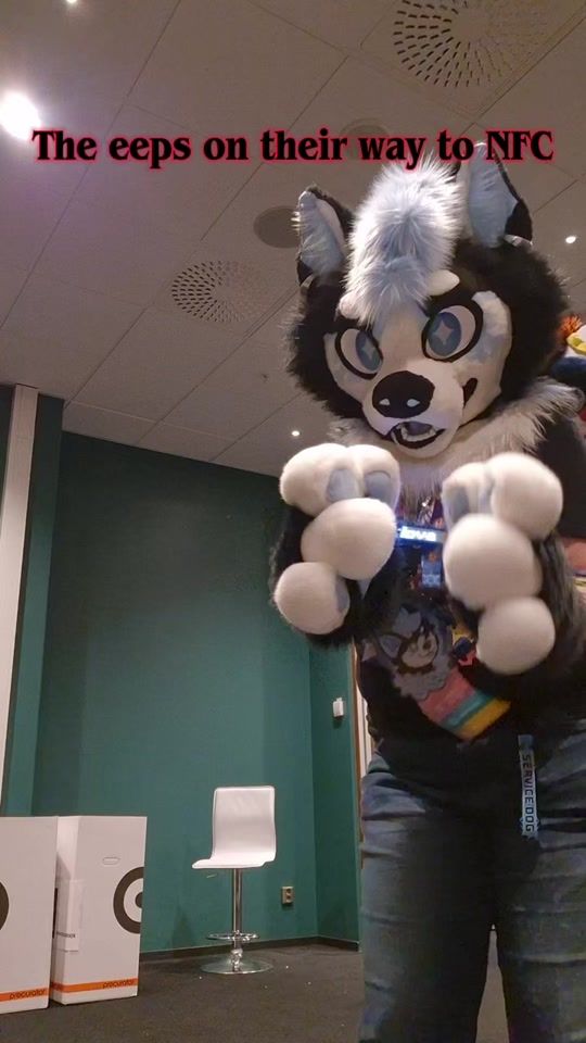 TikTok video thumbnail by novagalaxywolf