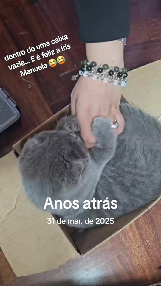 TikTok video thumbnail by nuchacantora