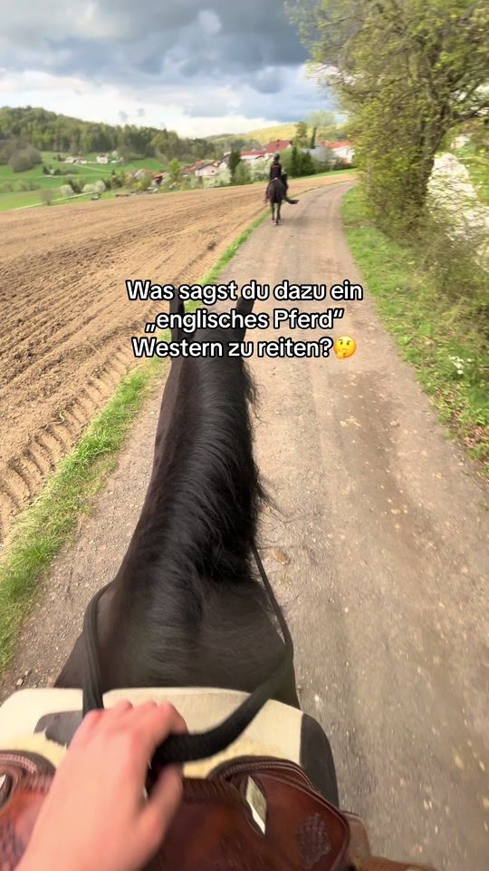 TikTok video thumbnail by mias_equestrian_life