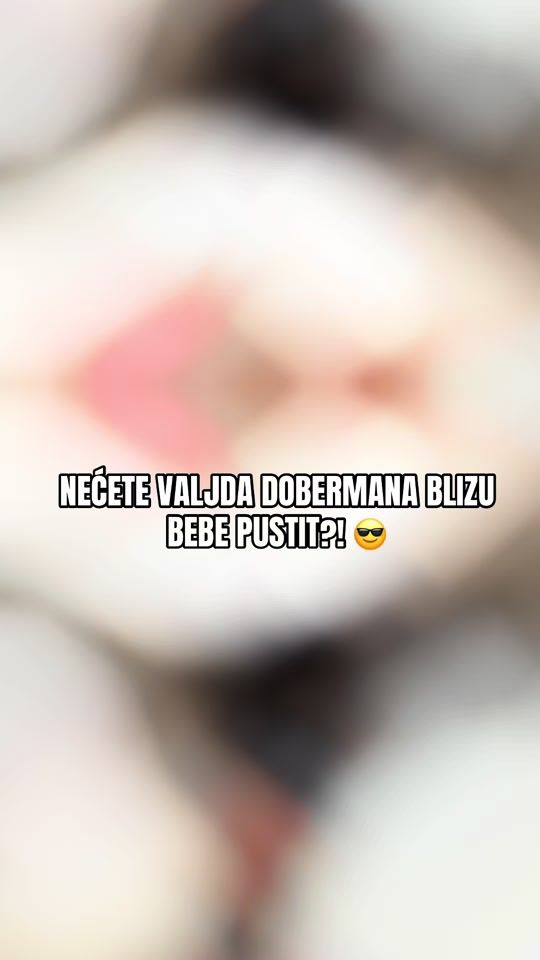 TikTok video thumbnail by pablo.the.doberman