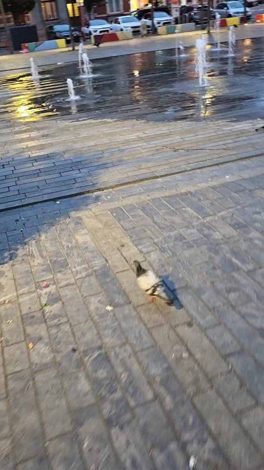 TikTok video thumbnail by cristinaacrysgeor