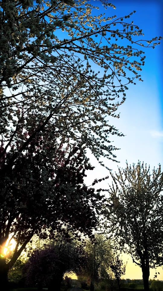 TikTok video thumbnail by m4c.luca