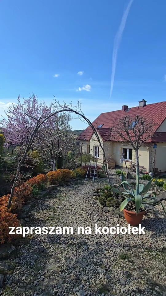 TikTok video thumbnail by _michal_83