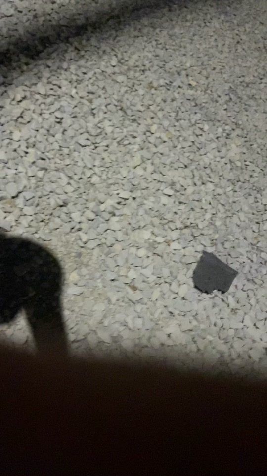 TikTok video thumbnail by _._macarena_._
