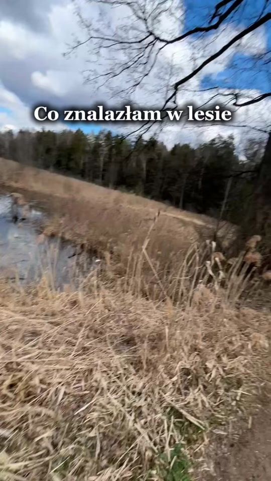 TikTok video thumbnail by markumaja