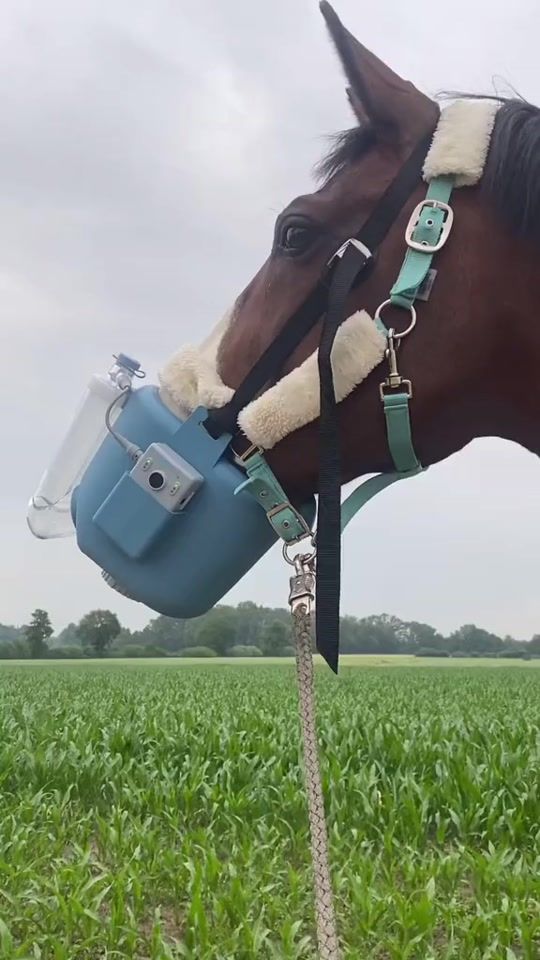 TikTok video thumbnail by vivienjoanaa