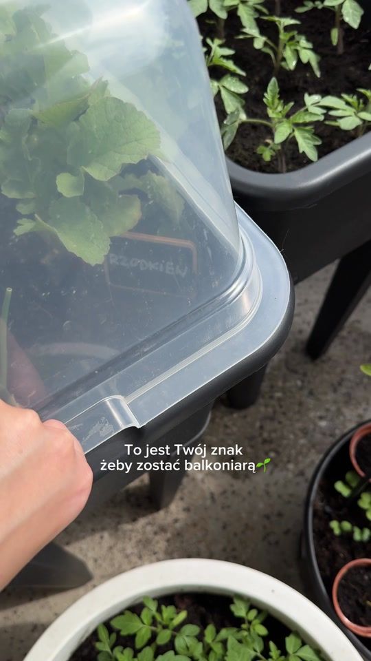 TikTok video thumbnail by izabelapyz