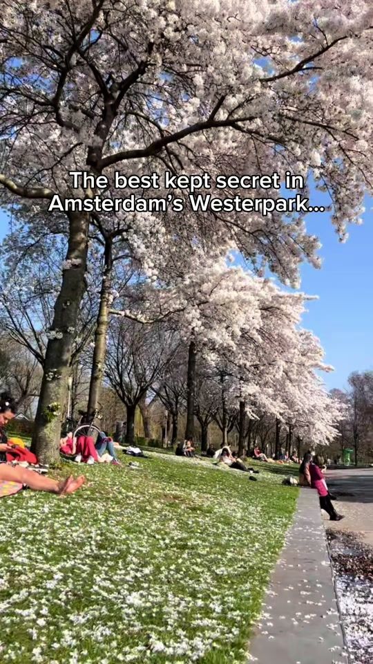 TikTok video thumbnail by sofiavargas_g