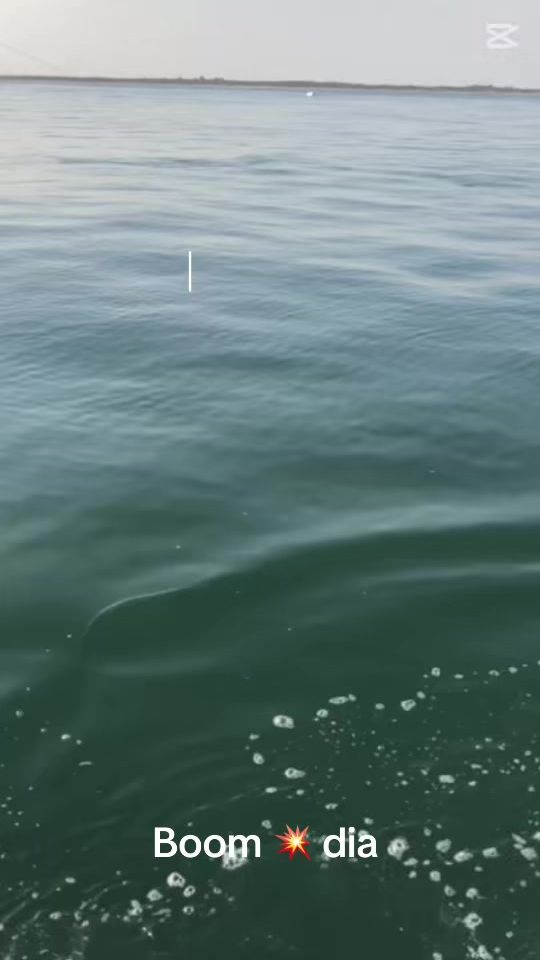 TikTok video thumbnail by user2605577382160