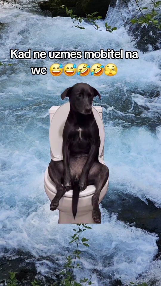 TikTok video thumbnail by mrs_.b