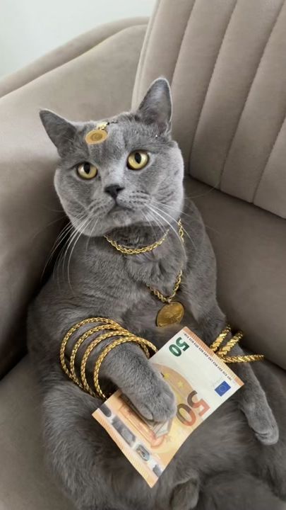 TikTok video thumbnail by rukiyee.pamuk