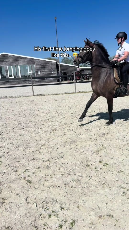 TikTok video thumbnail by loutsieex