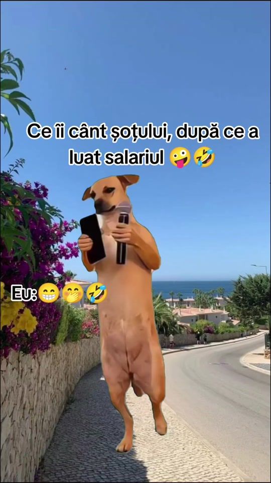 TikTok video thumbnail by filote_adina