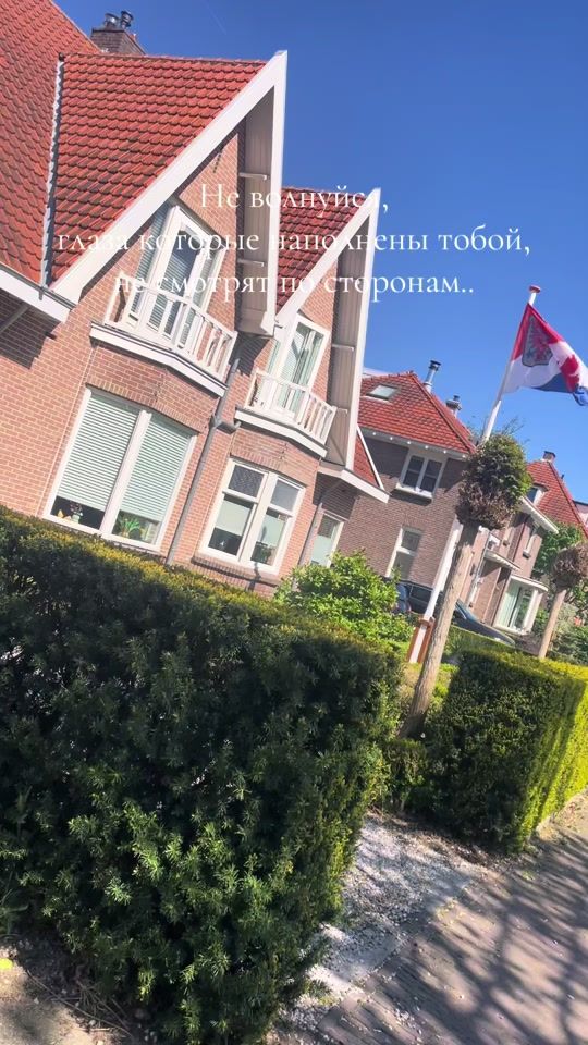 TikTok video thumbnail by ..adamant