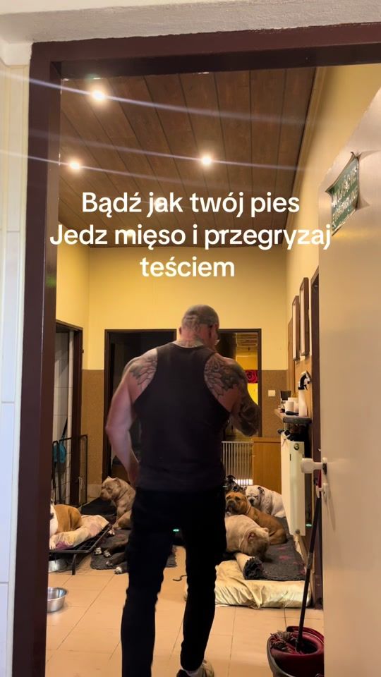 TikTok video thumbnail by siwywiking