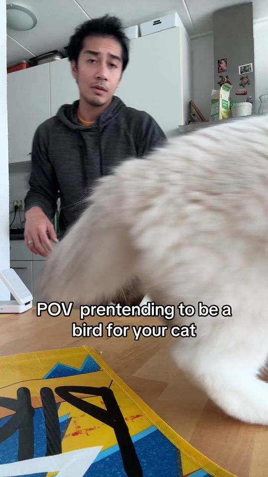 TikTok video thumbnail by philarphilafel