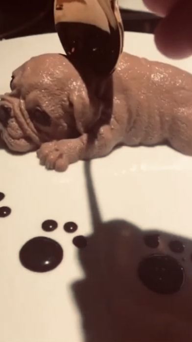 TikTok video thumbnail by niki_party