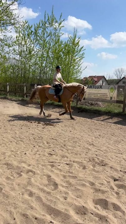 TikTok video thumbnail by drobna.equestrian