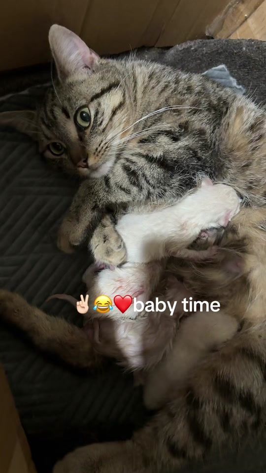 TikTok video thumbnail by nona.official2