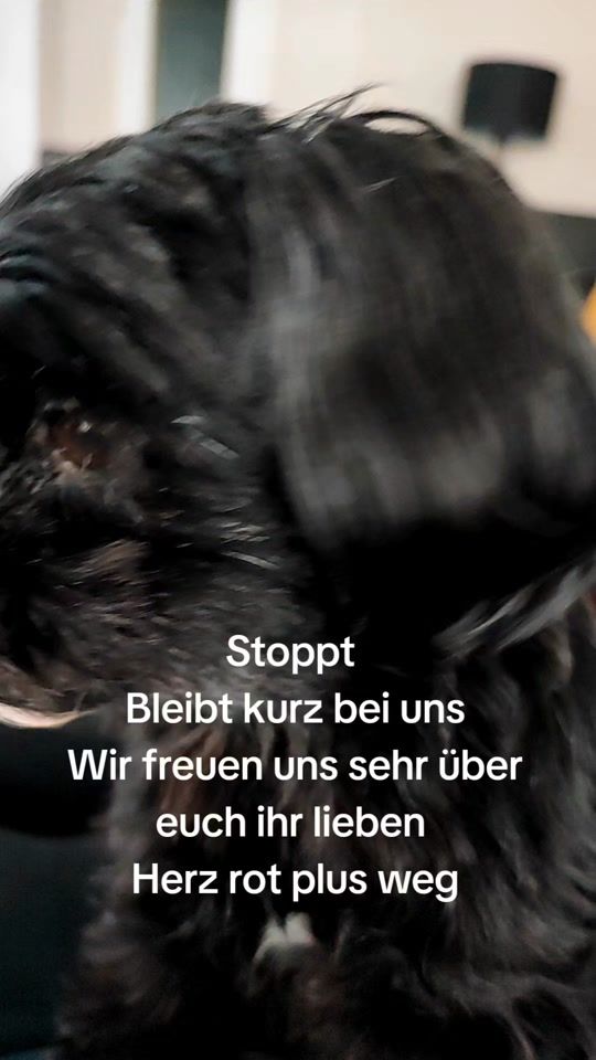 TikTok video thumbnail by pppi826