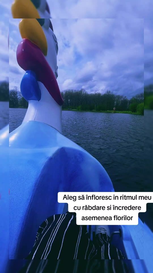 TikTok video thumbnail by ionelus09