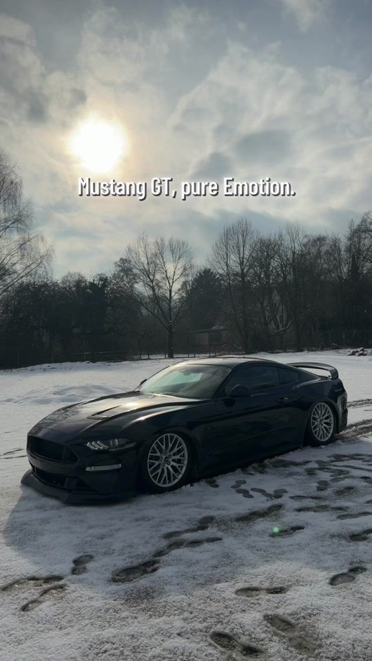 TikTok video thumbnail by black_mustang69