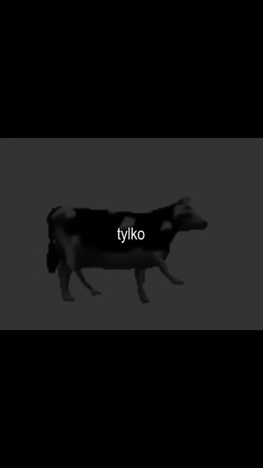 TikTok video thumbnail by buraczek_aviation