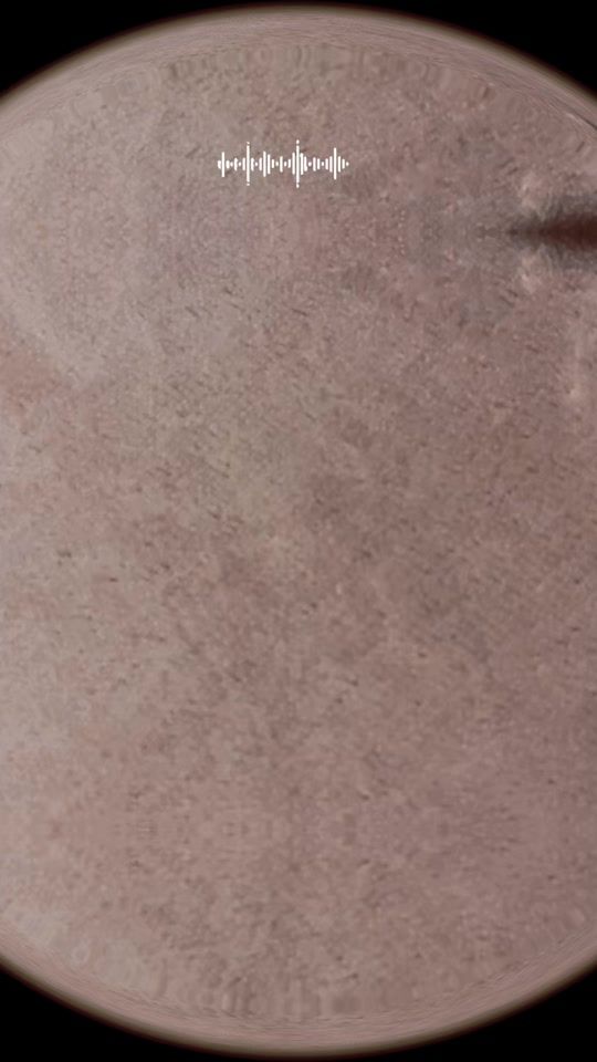 TikTok video thumbnail by cleosardeiro