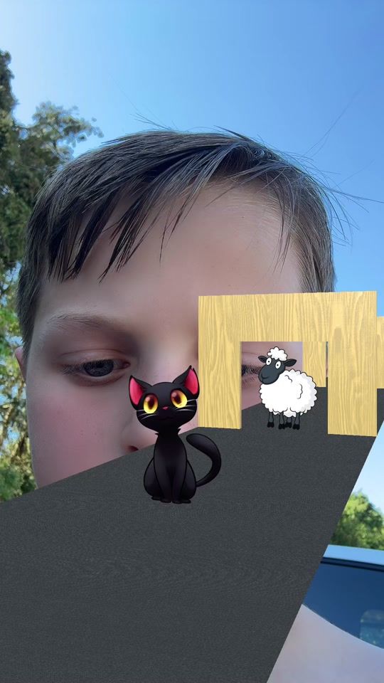 TikTok video thumbnail by caden.deman