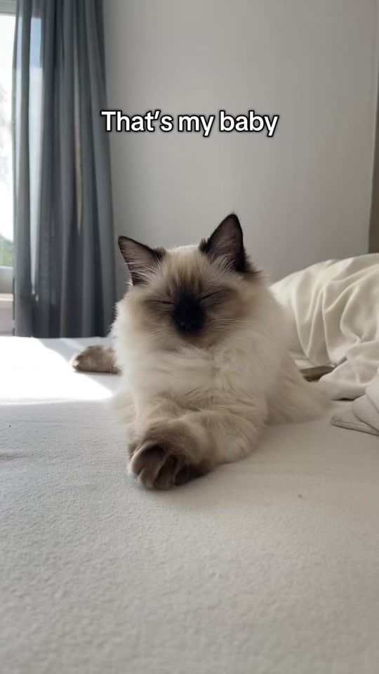 TikTok video thumbnail by ivi__nala